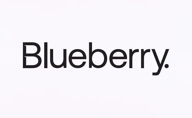 Blueberry Markets