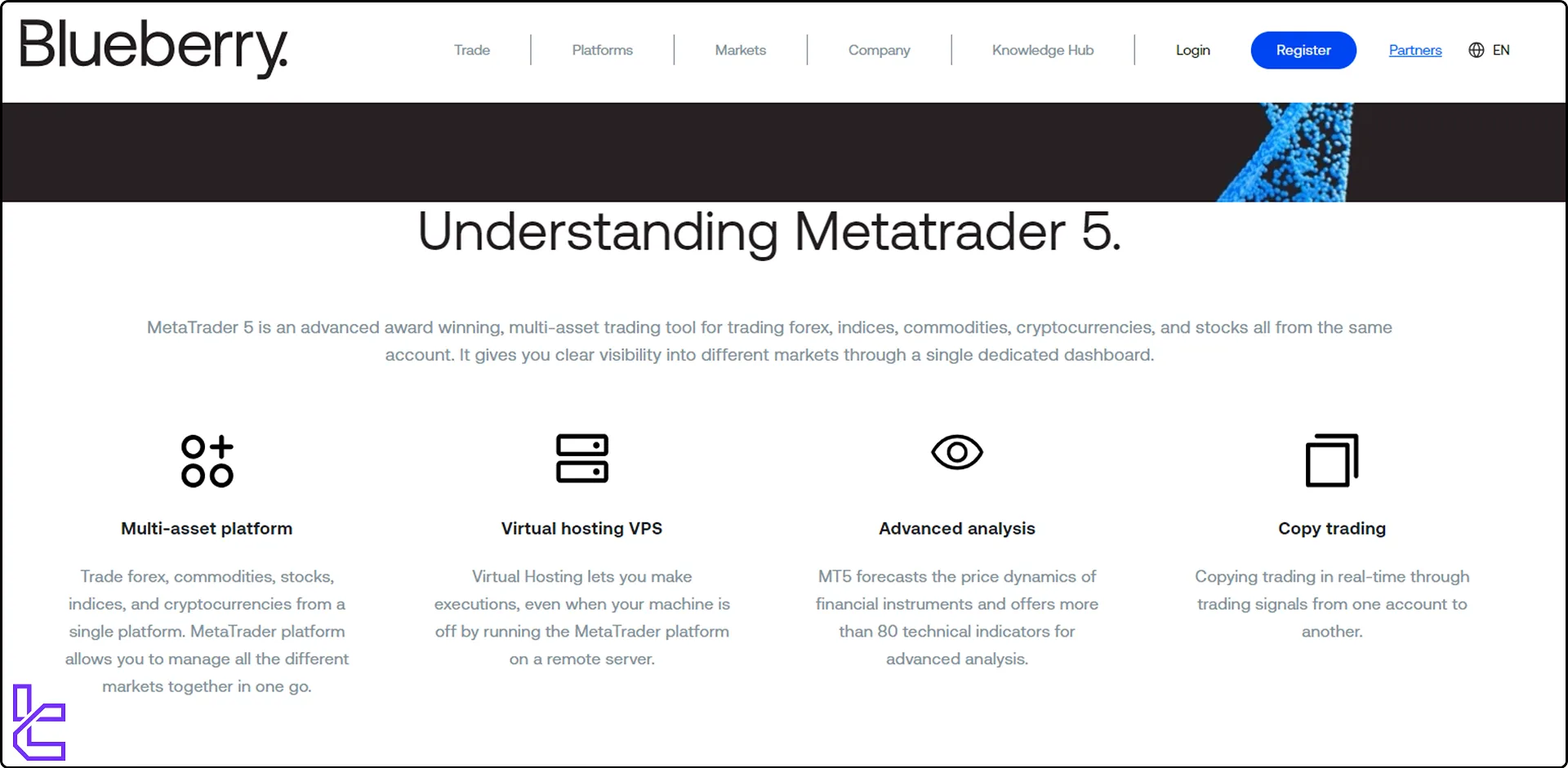 Blueberry Markets MetaTrader 5 trading platform