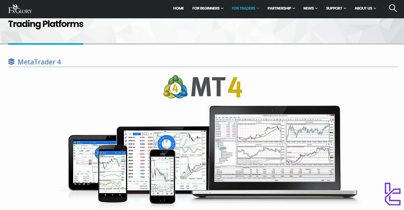 متاتریدر 4 بروکر اف ایکس گلوری