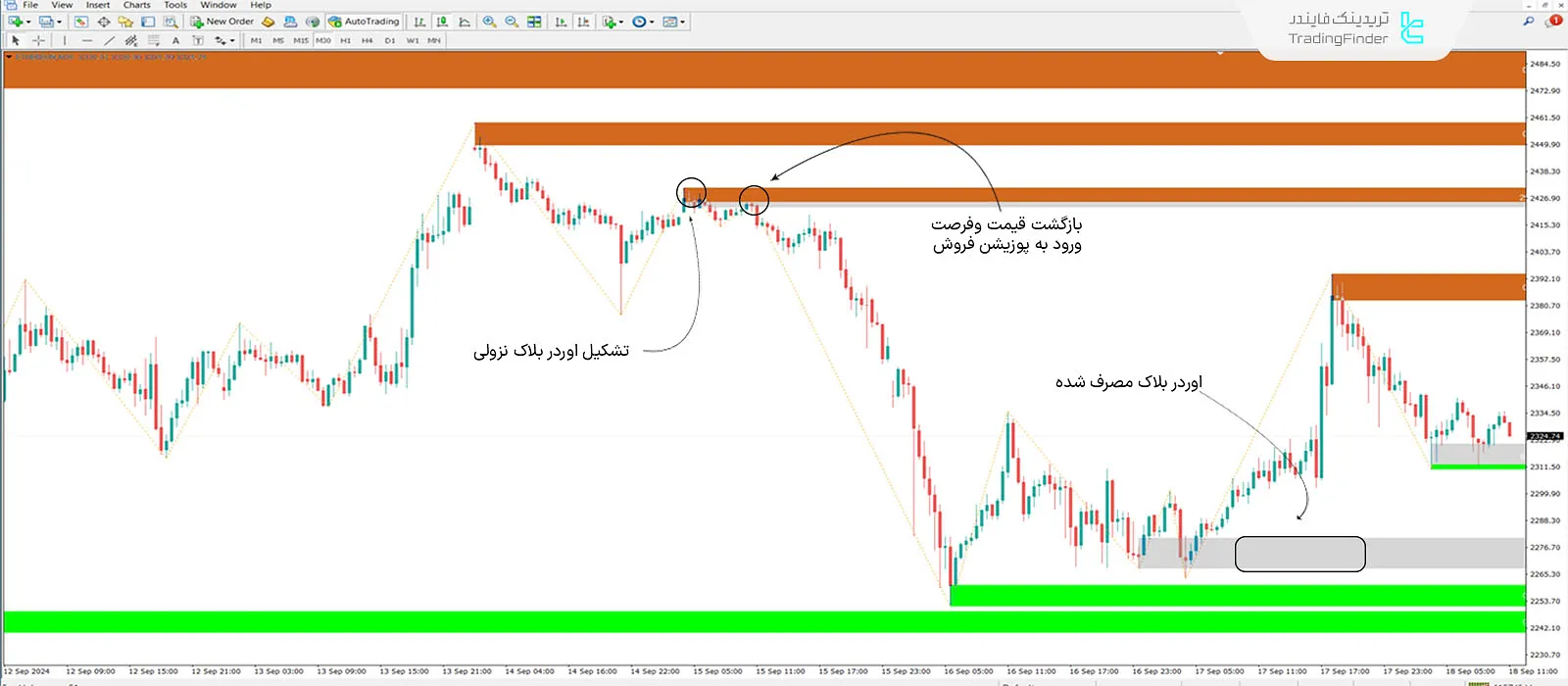 دانلود اندیکاتور اوردر‌بلاک + فضای خالی (Order Block + Void) ICT در متاتریدر 4 - رایگان - [تریدینگ فایندر] 2