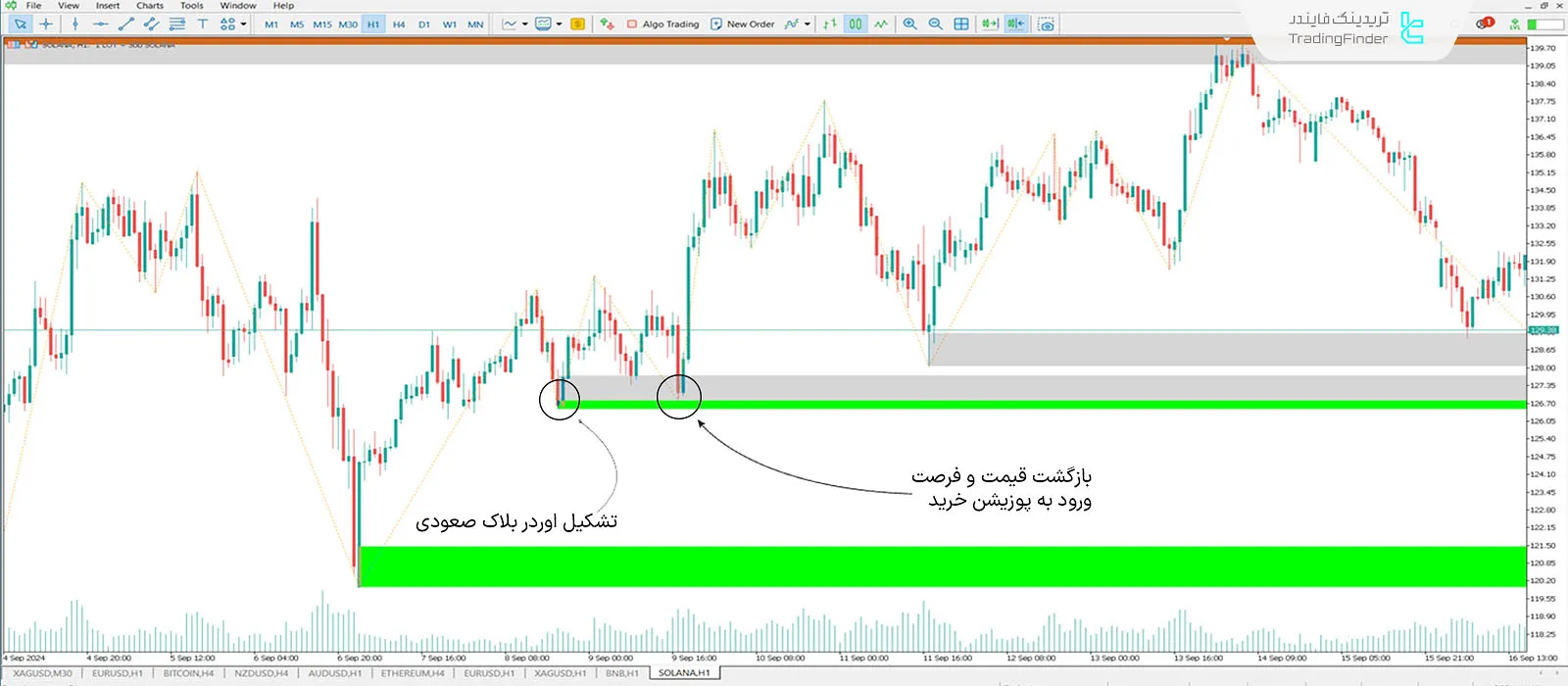 دانلود اندیکاتور اوردر‌بلاک + فضای خالی (Order Block + Void) ICT در متاتریدر 5 - رایگان - [تریدینگ فایندر] 1