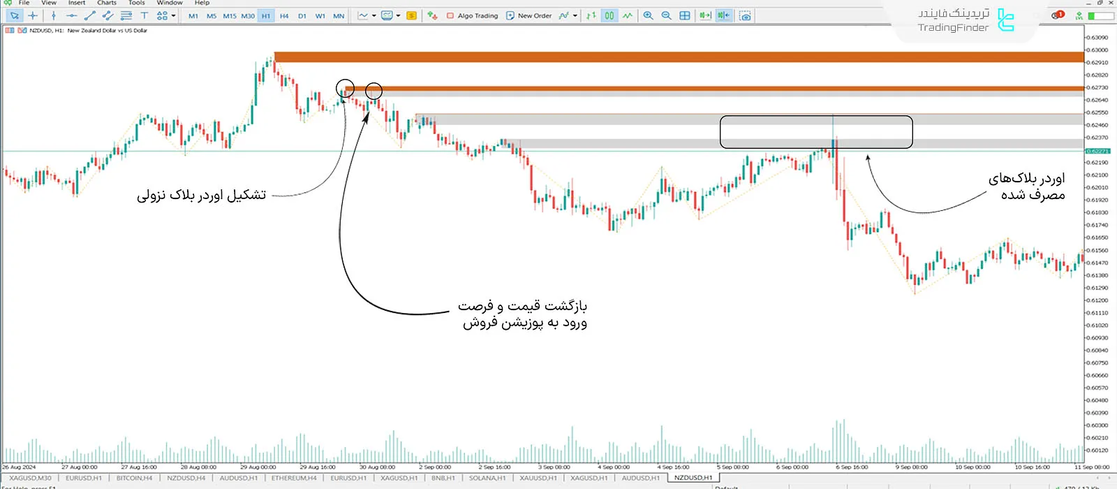 دانلود اندیکاتور اوردر‌بلاک + فضای خالی (Order Block + Void) ICT در متاتریدر 5 - رایگان - [تریدینگ فایندر] 2