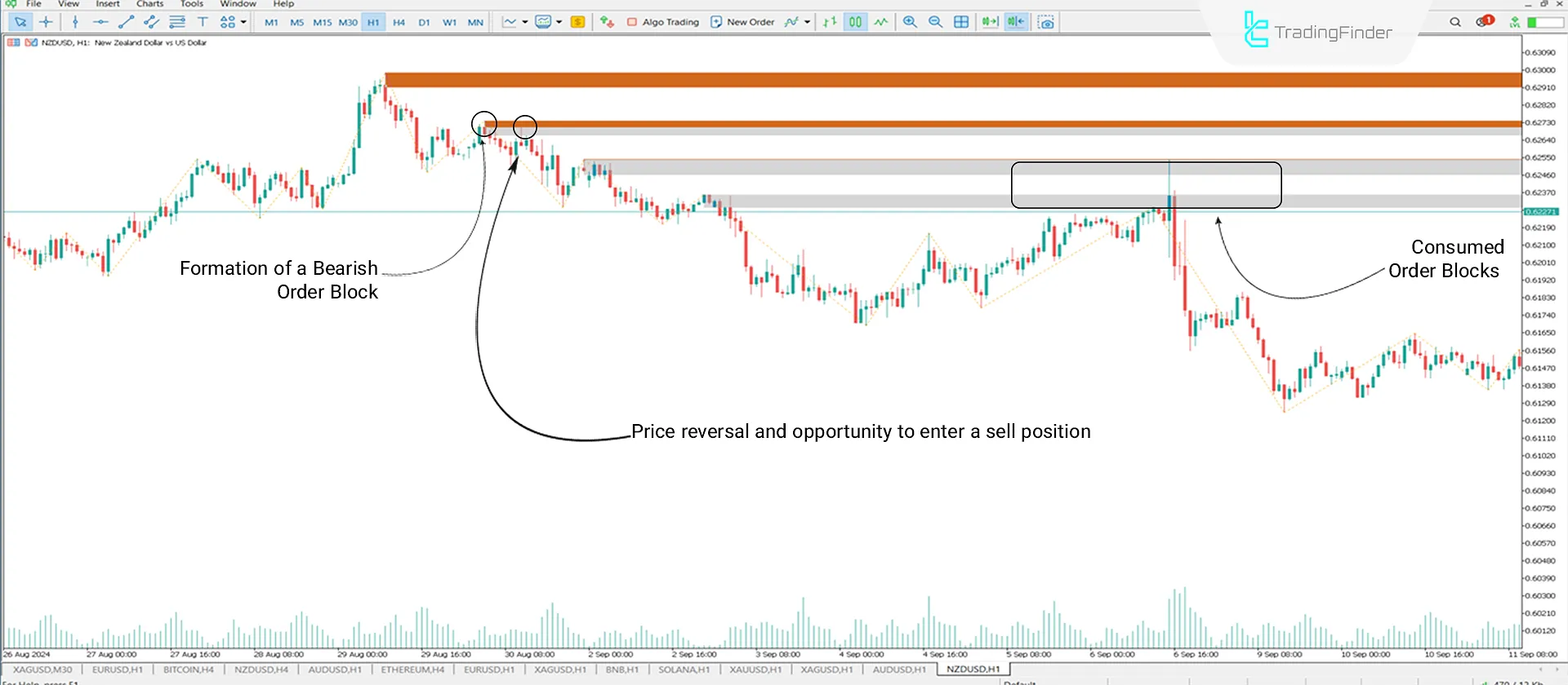 Order Block + Void Indicator Download for MT5 - Free - [Trading Finder] 2