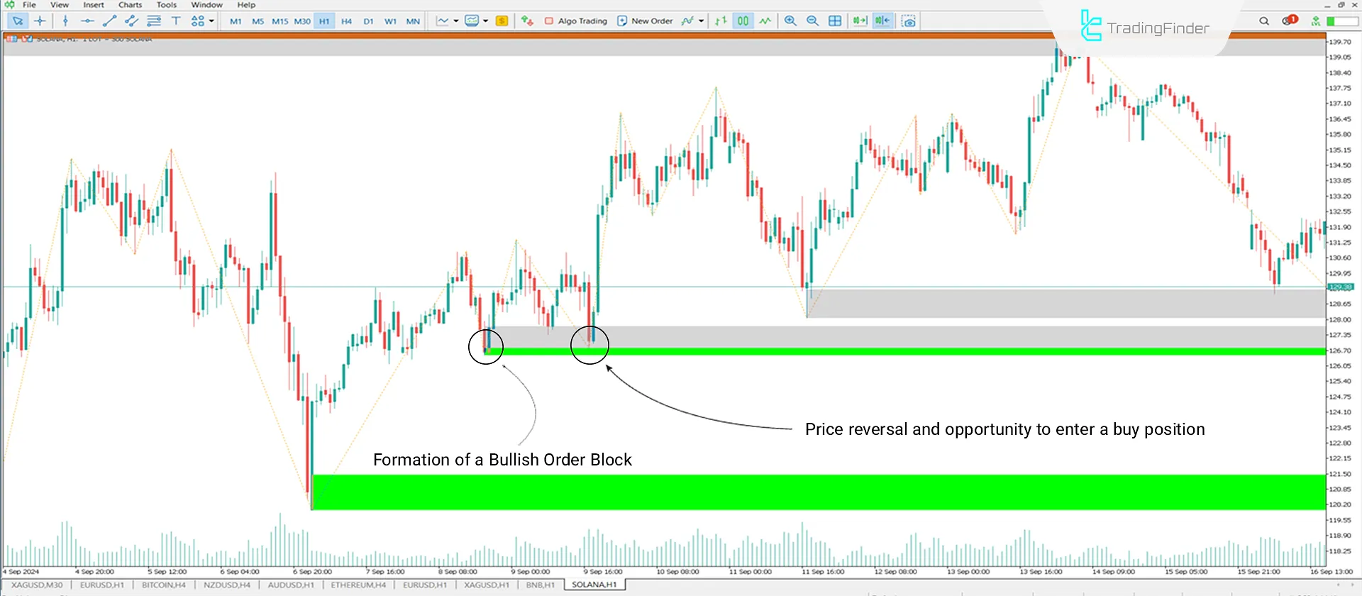 Order Block + Void Indicator Download for MT5 - Free - [Trading Finder] 1