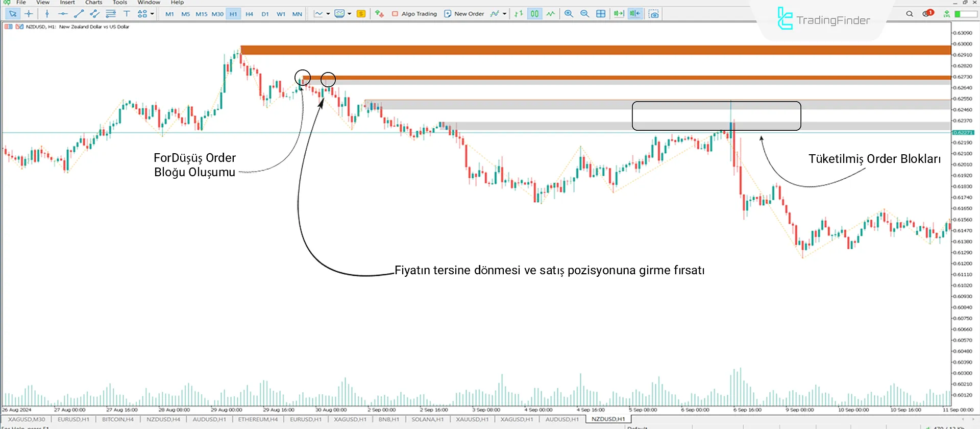 Emir Bloğu + Void göstergesini MT5 için indirin - Ücretsiz - [Trading Finder] 2