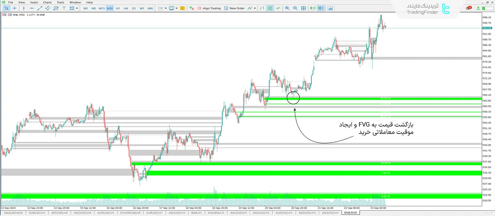 دانلود اندیکاتور شکاف بهبود یافته ارزش منصفانه (iFVG + Void) در متاتریدر 5 - رایگان - [تریدینگ فایندر] 1