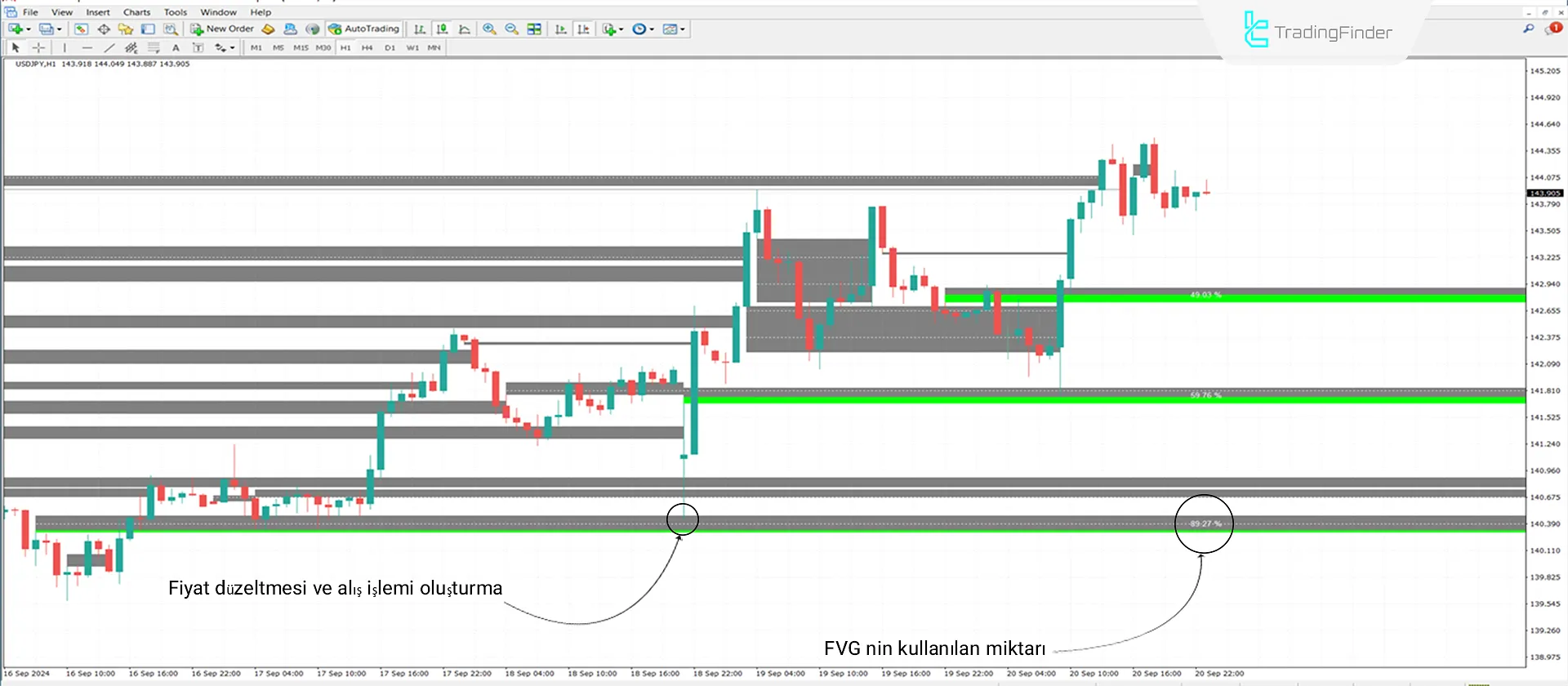 iFVG + Void indikatörünü MT4 için indirin - ücretsiz - [Trading Finder] 1