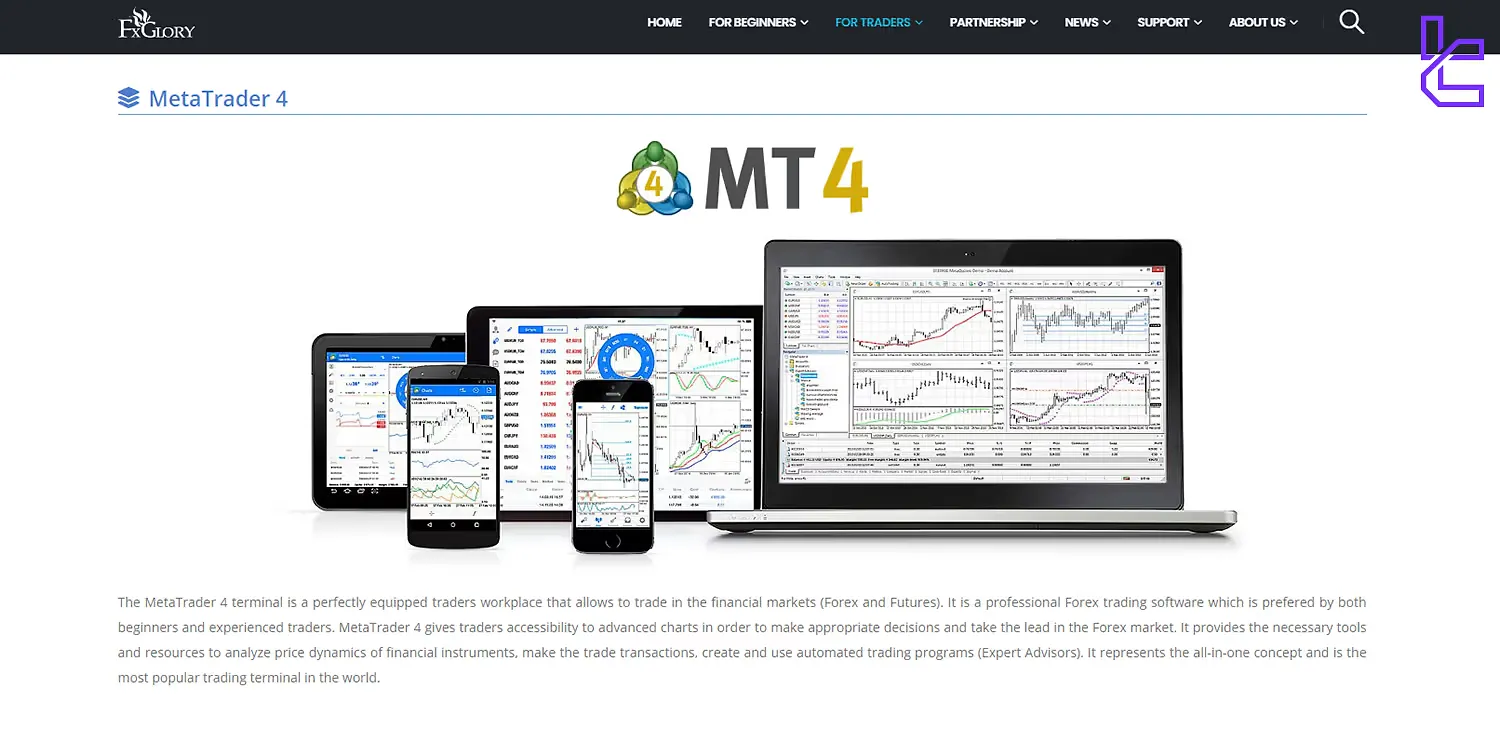 FxGlory MetaTrader 4