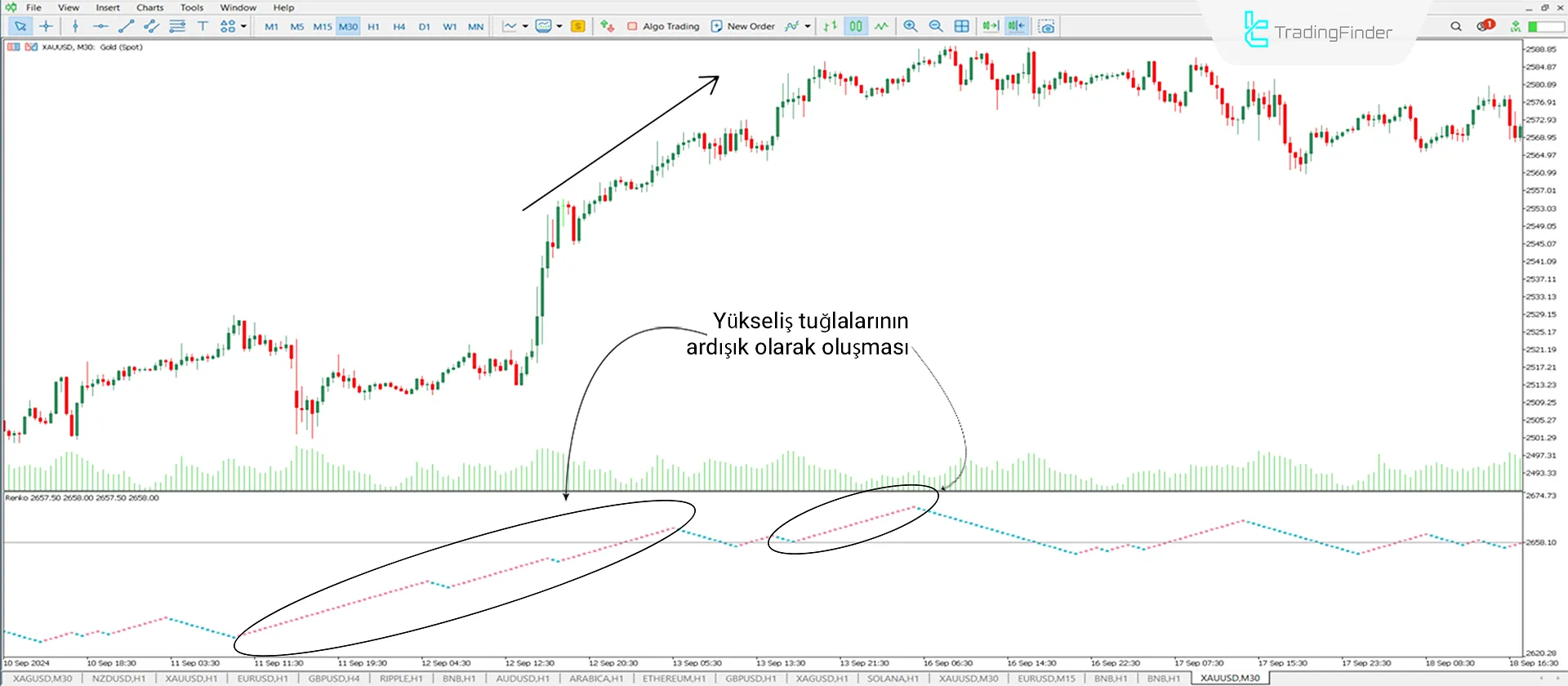 Renko Chart indikatörünü MT5 için indirin - Ücretsiz - [TradingFinder] 1