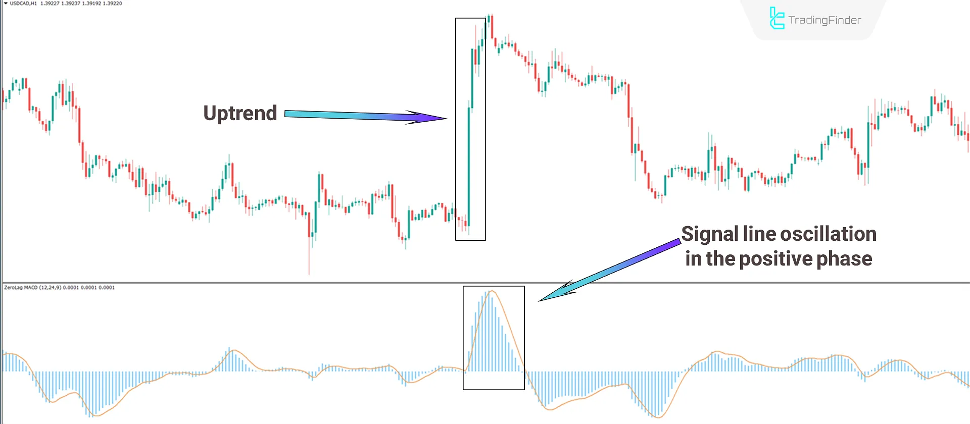 Zerolag MACD indicator MT4 Download - Free - [TradingFinder] 1