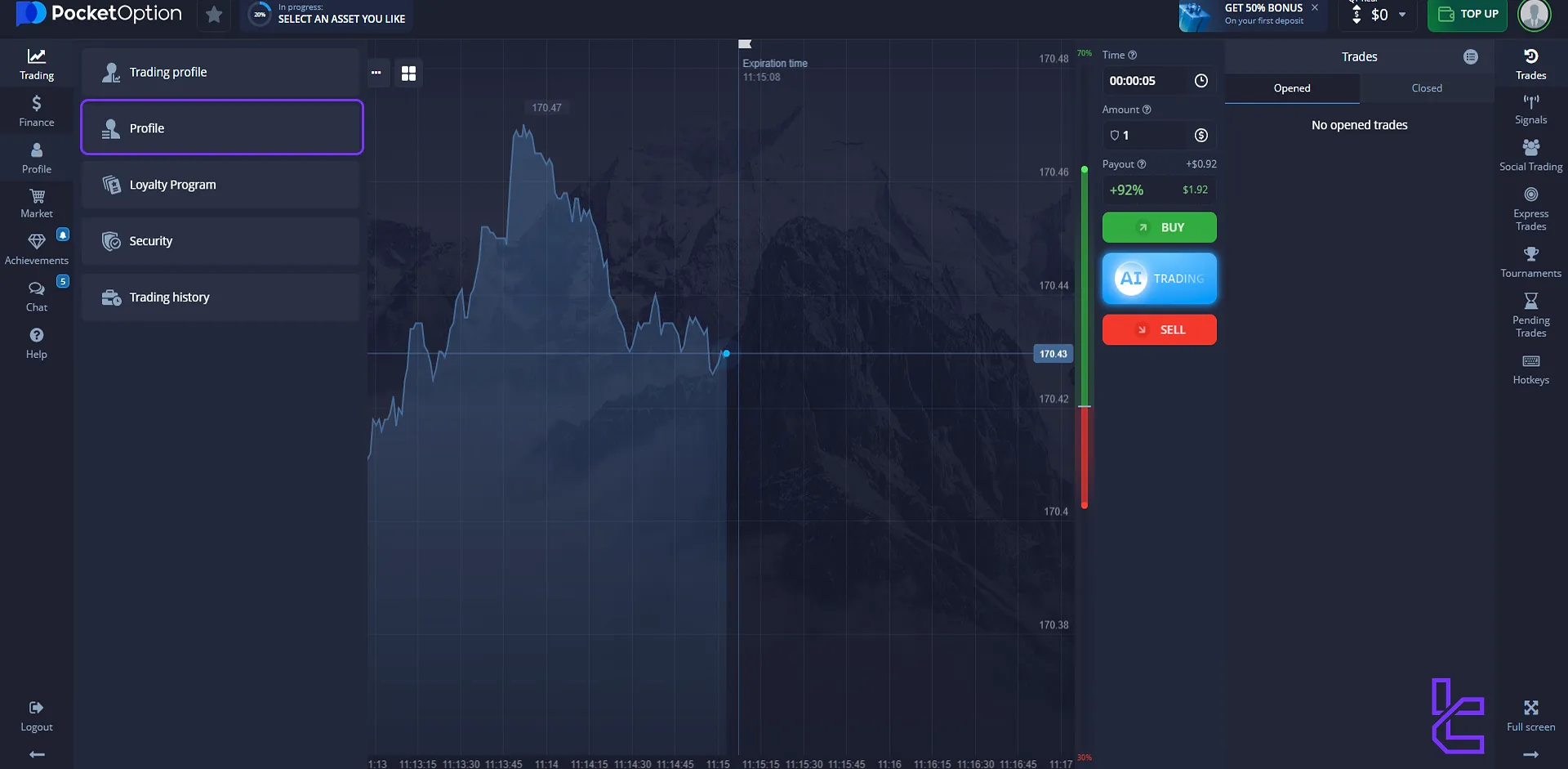 Pocket Option profile section