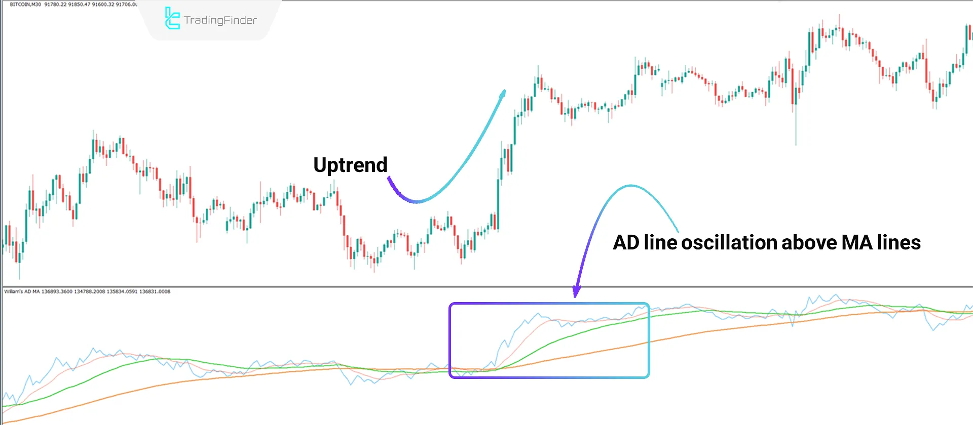 Williams AD MA Indicator in MT4 - Free Download 1