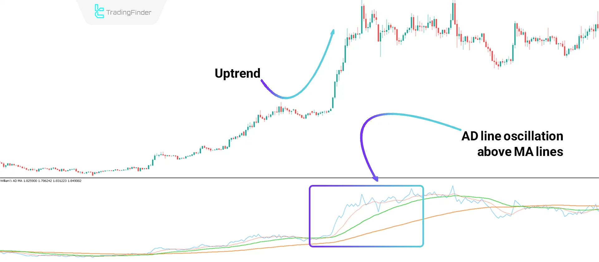 Williams AD MA Indicator in MT5 Download - Free - [TradingFinder] 1