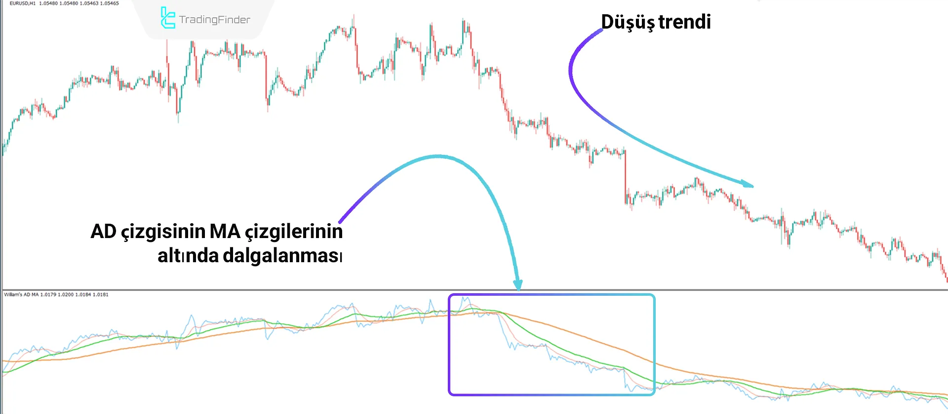 Williams AD MA Göstergesini MT4'te İndirin - Ücretsiz - [TradingFinder] 2