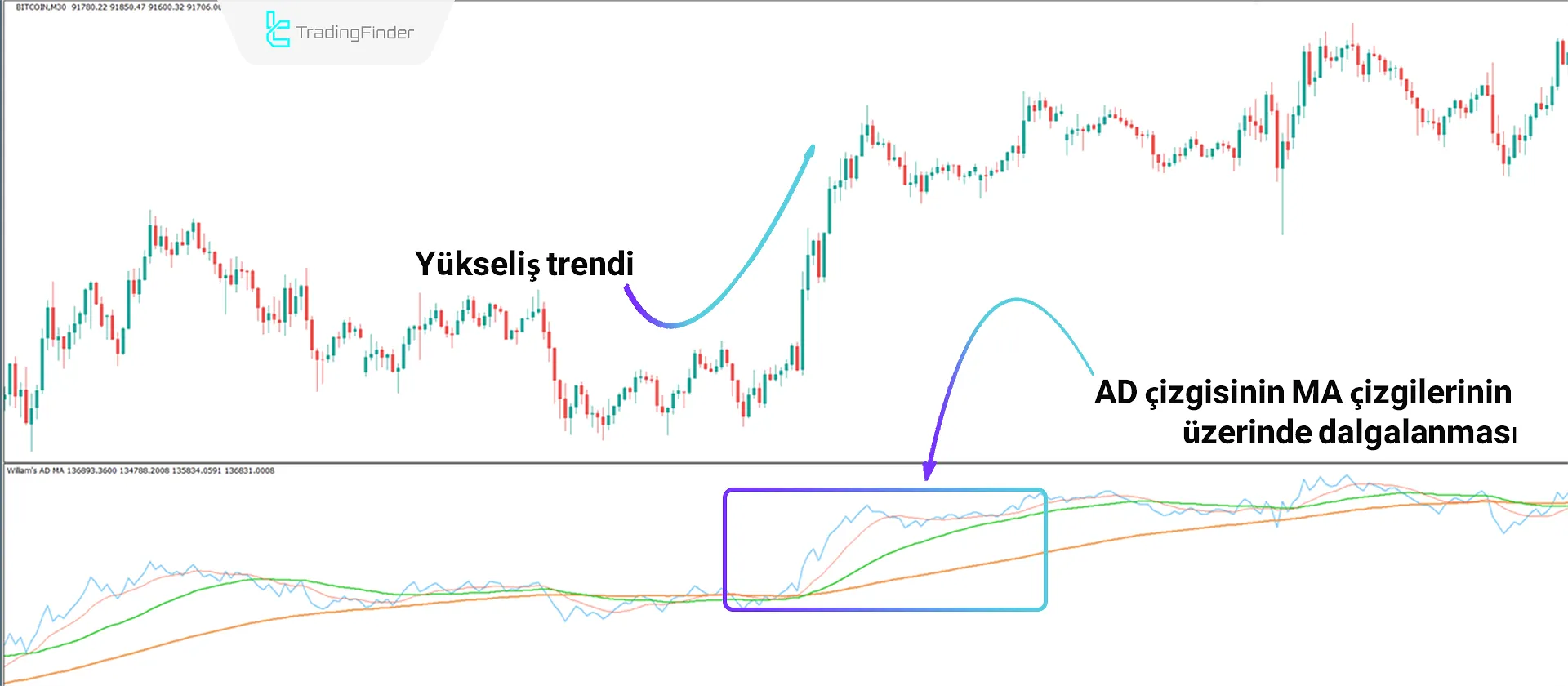 Williams AD MA Göstergesini MT4'te İndirin - Ücretsiz - [TradingFinder] 1