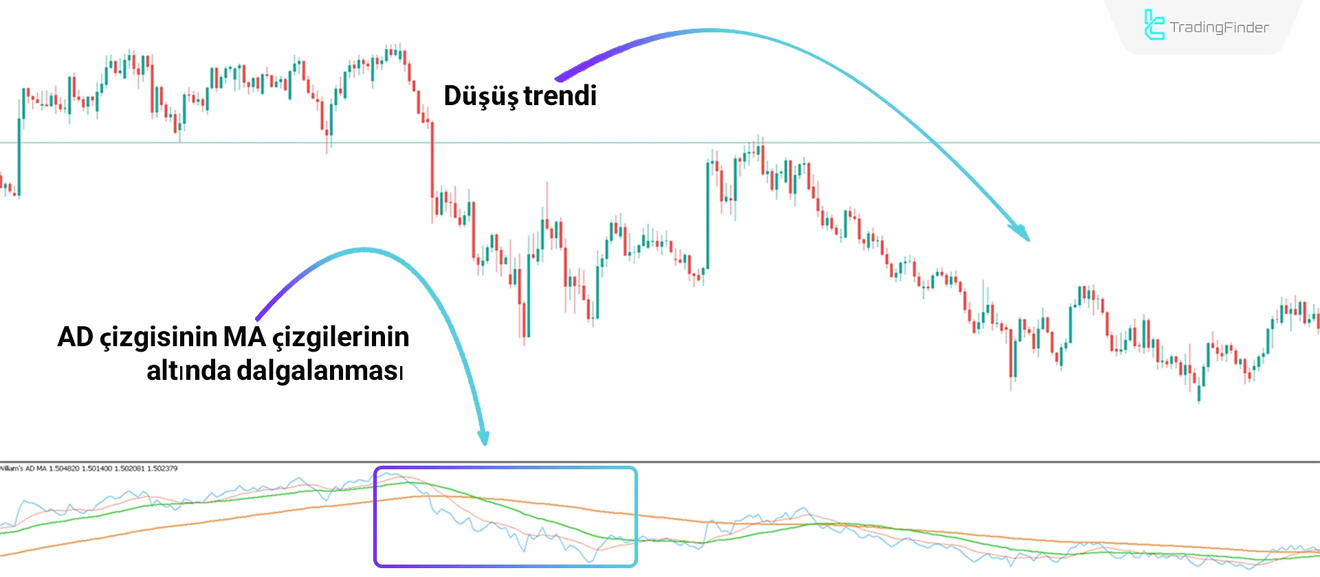 Williams AD MA Göstergesini MT5'te İndirin - Ücretsiz - [TradingFinder] 2