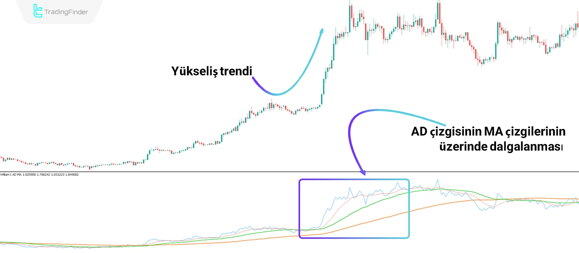 Williams AD MA Göstergesini MT5'te İndirin - Ücretsiz - [TradingFinder] 1