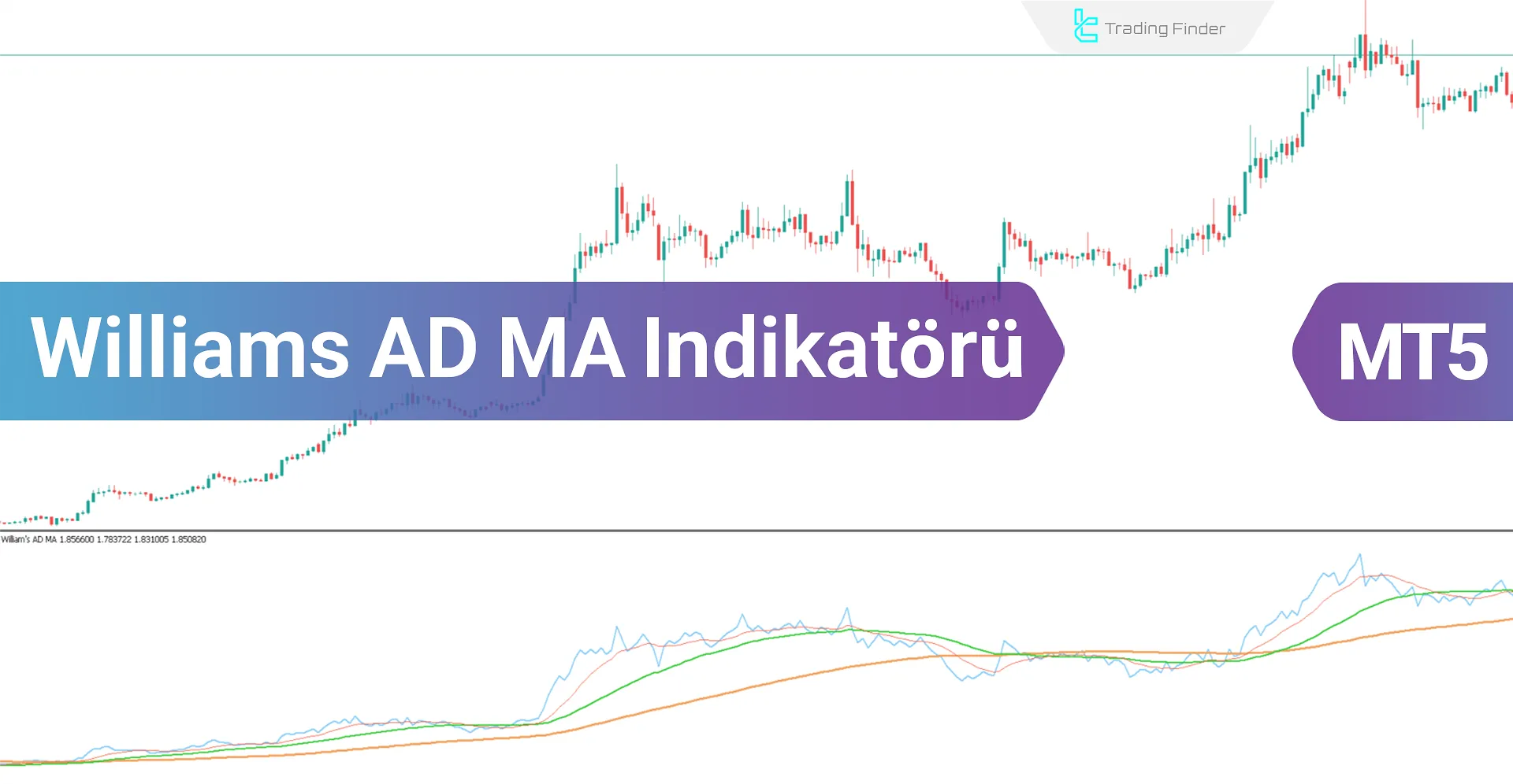 Williams AD MA Göstergesini MT5'te İndirin - Ücretsiz - [TradingFinder]