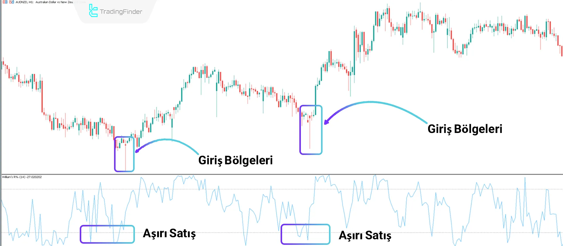 Williams %R Göstergesi MT5 için İndir - Ücretsiz - [TradingFinder] 1