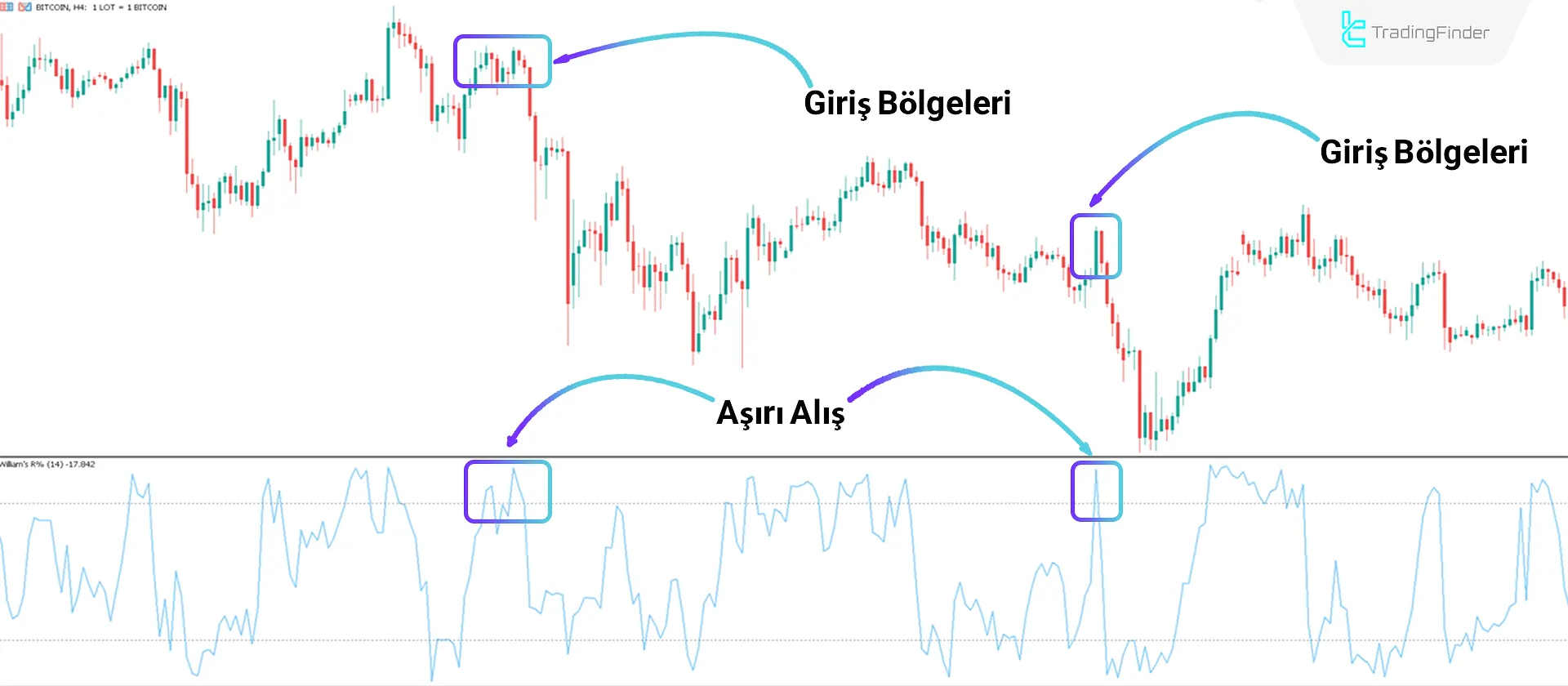 Williams %R Göstergesi MT5 için İndir - Ücretsiz - [TradingFinder] 2