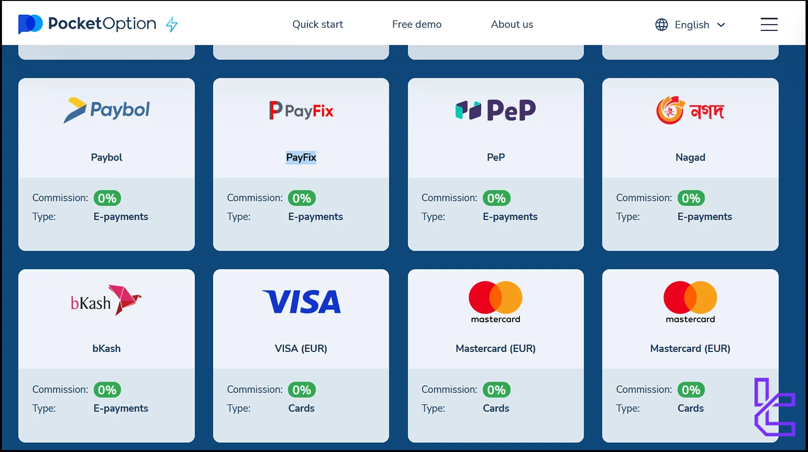 PocketOption E-wallet payments