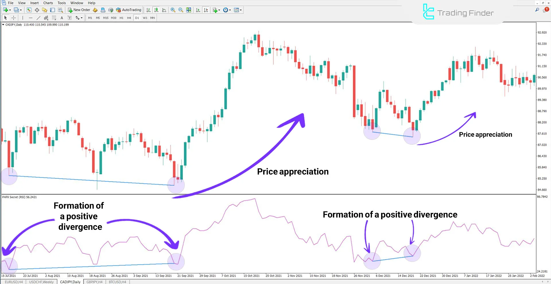 PAFX Secret Indicator for MetaTrader 4 Download - Free - [TFlab] 1