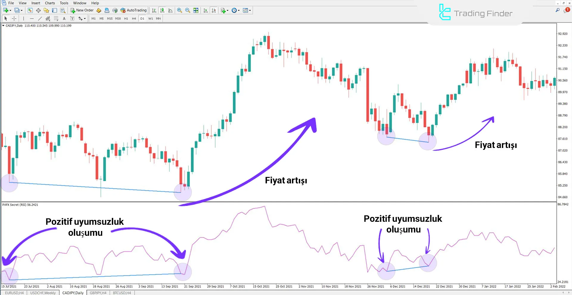 PAFX Secret Göstergesi MetaTrader 4 için İndirme - Ücretsiz 1