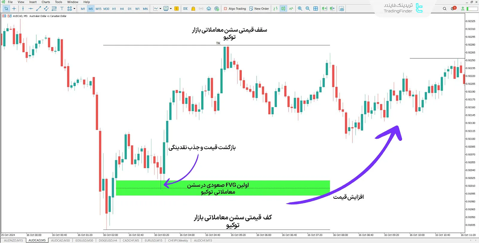 دانلود اندیکاتور سشسن شکاف ارزش منصفانه  FVG Sessionsدر متاتریدر 5 - رایگان - [تریدینگ فایندر] 1