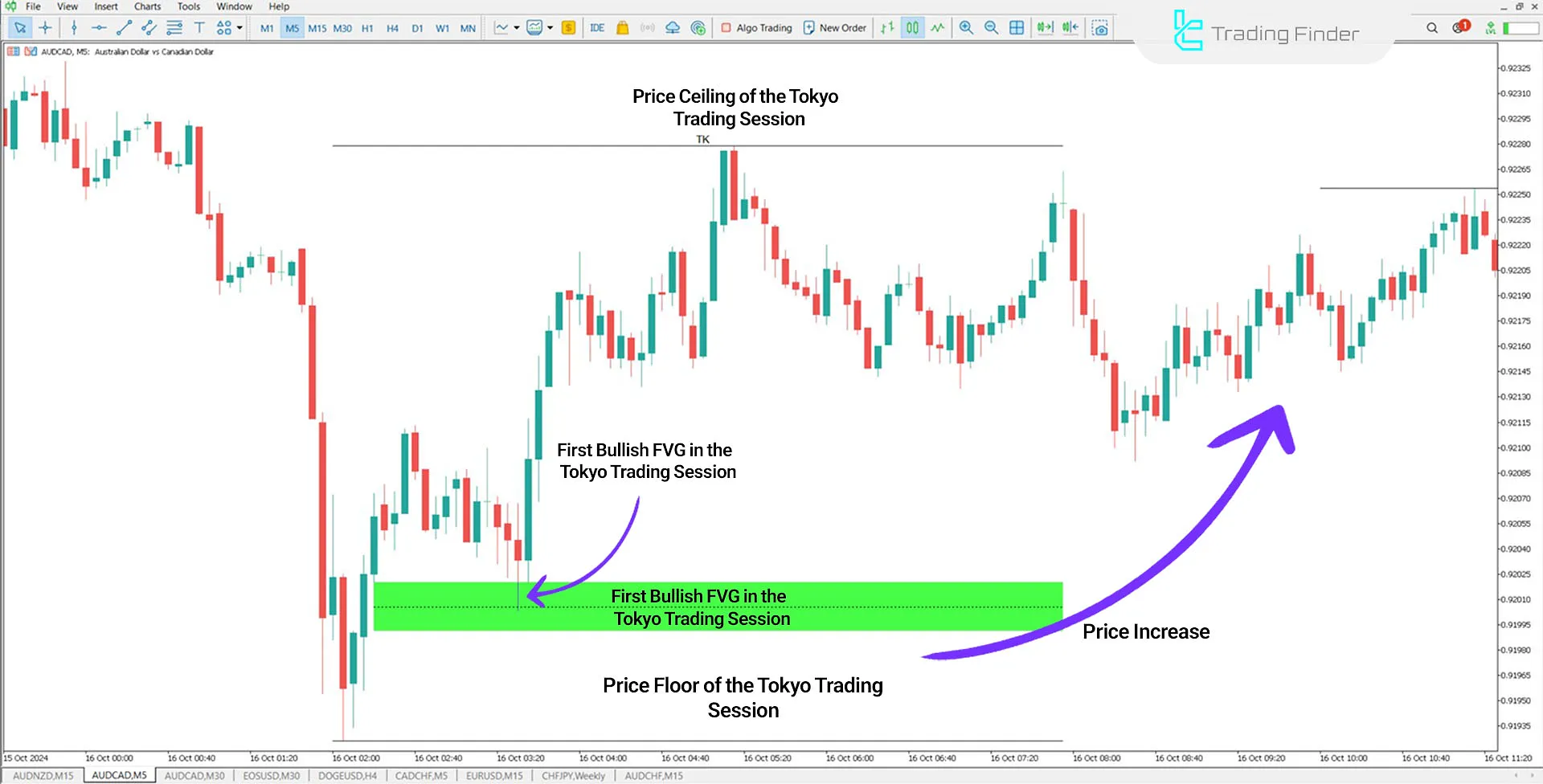 Fair Value Gap Sessions Indicator for MT5 Download - Free - [TFlab] 1