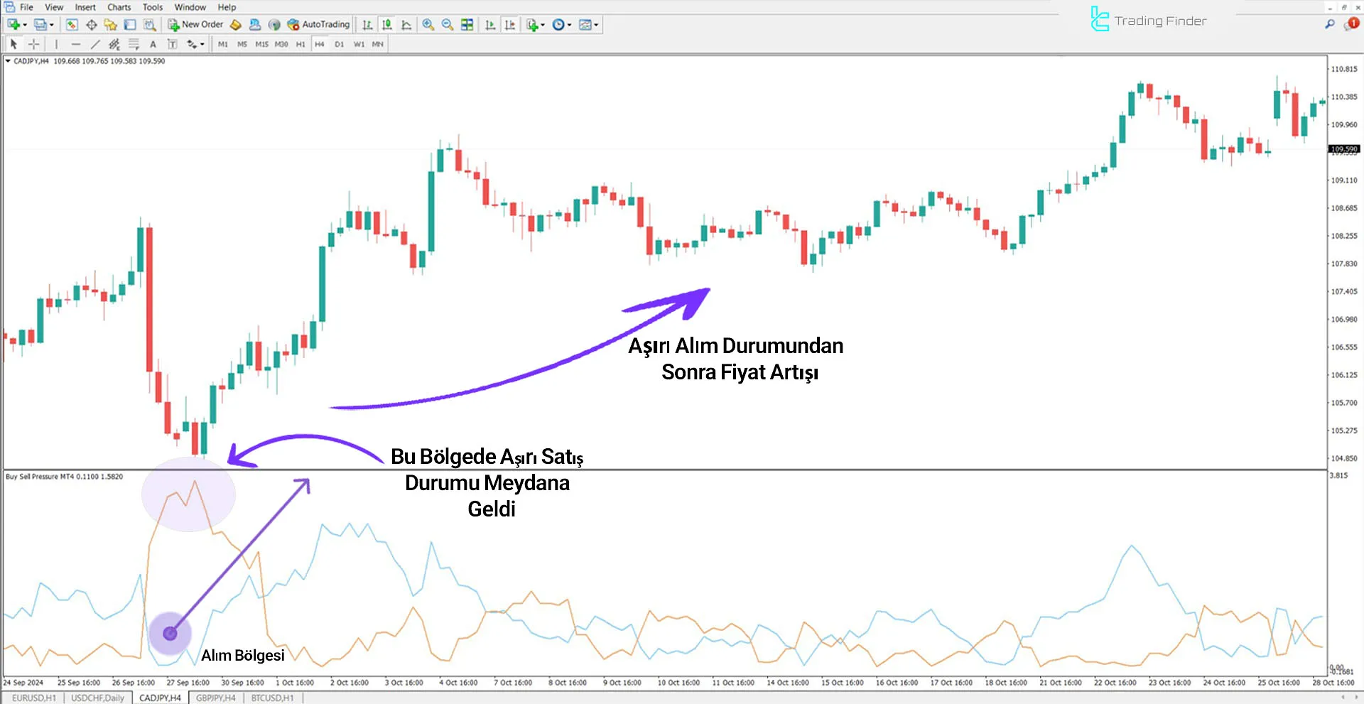 Buy Sell Pressure Göstergesini MT4 için İndirme - Ücretsiz - [TradingFinder] 1