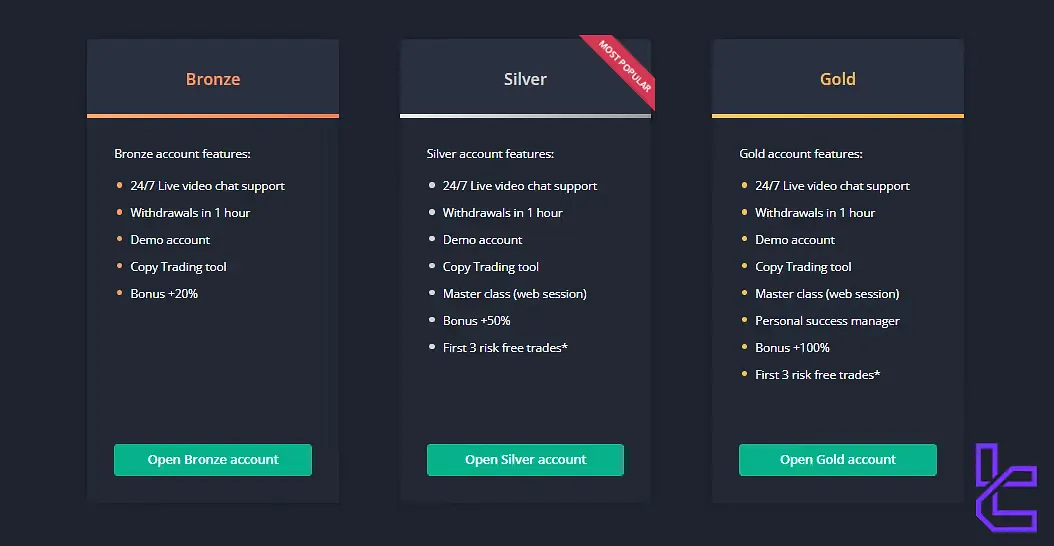 VideForex Account Types