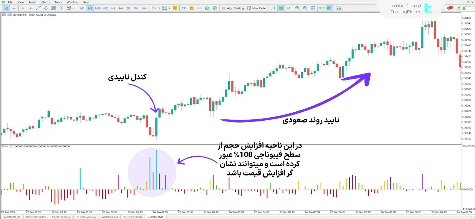 دانلود اندیکاتور نوسان‌گر حجم تعادلی (Balanced Volume Oscillator) در متاتریدر 5 - رایگان 1