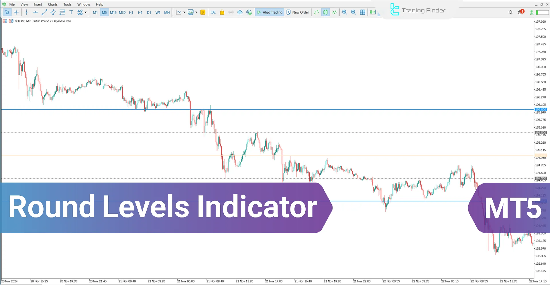 Round Levels Indicator for MetaTrader 5 Download – Free [TradingFinder]