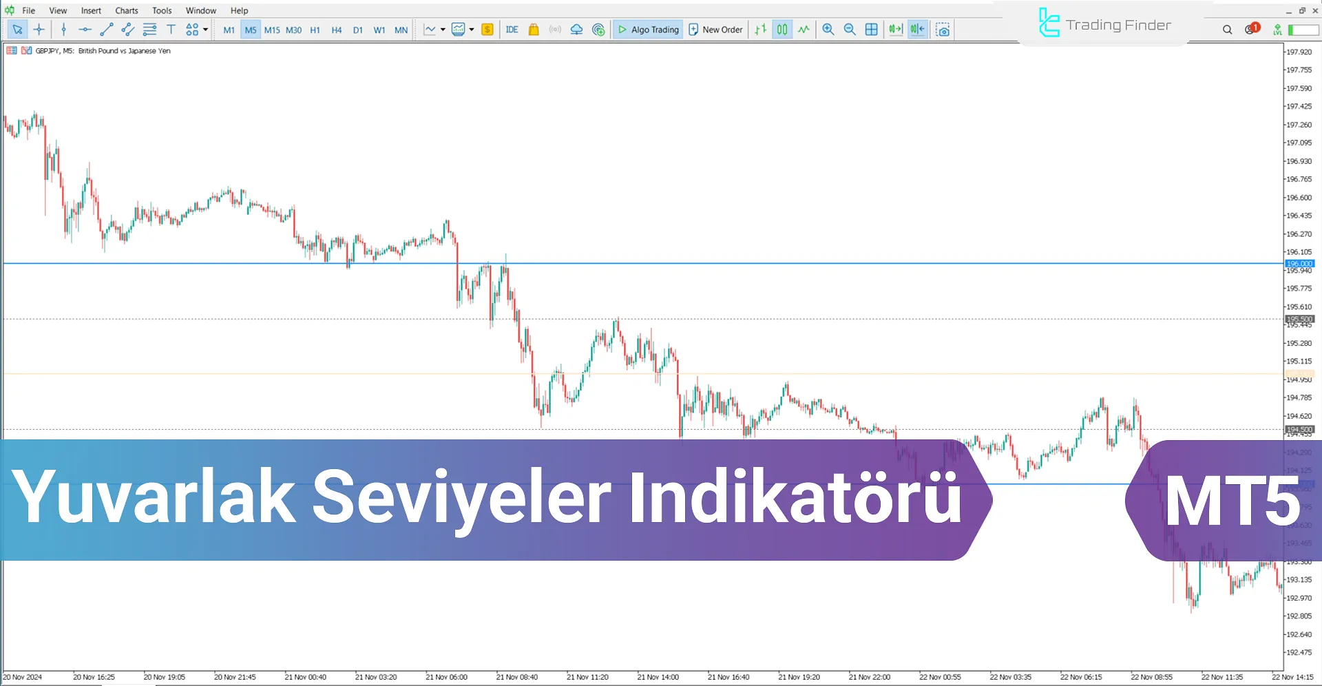 Yuvarlak Seviyeler İndikatörü  MT5  için İndir -[Trading Finder]