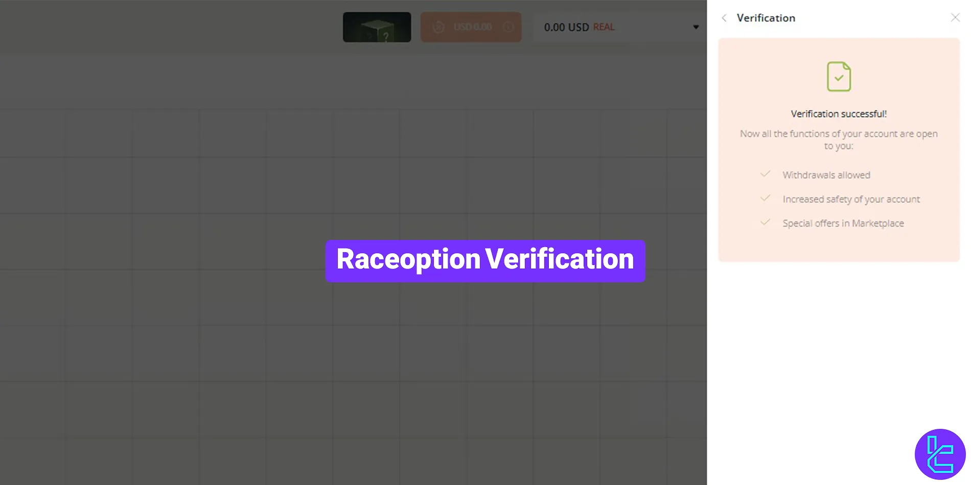 Raceoption verification