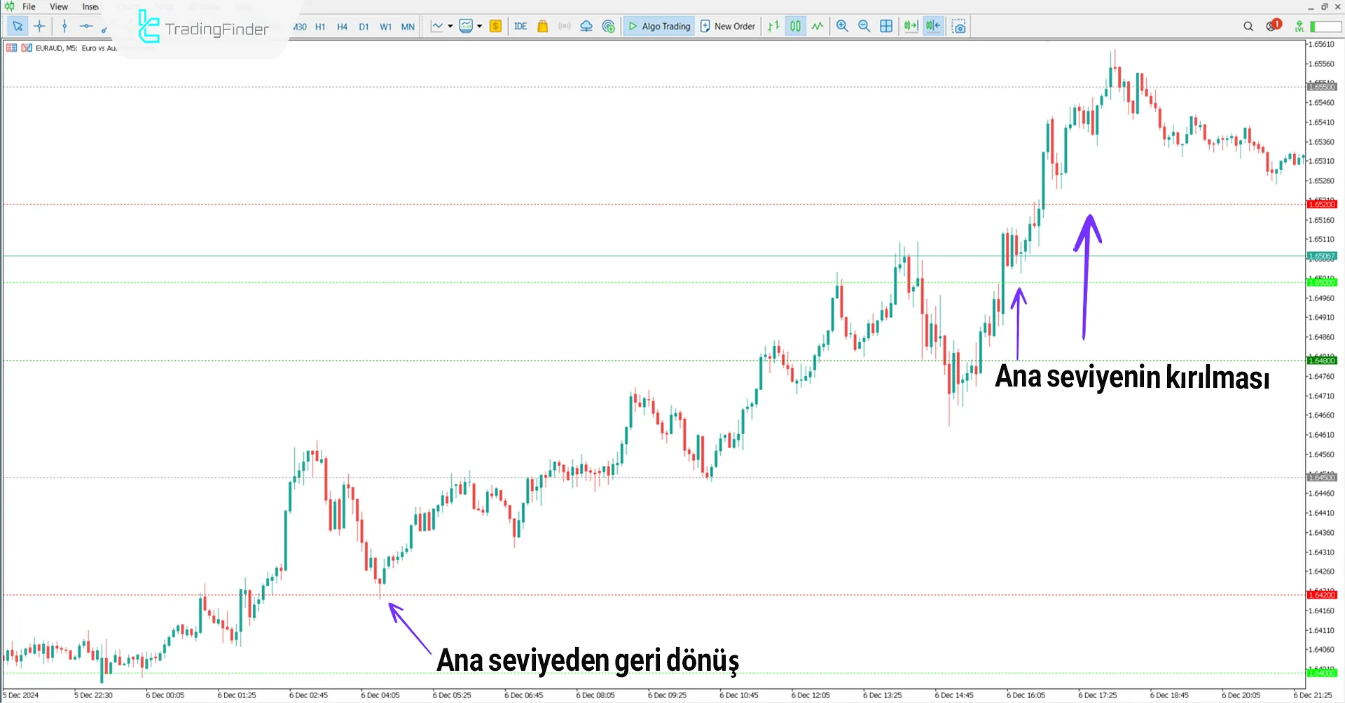 Temel fiyat eylem seviyeleri Indikatörü MT5 için - [TFlab] 1