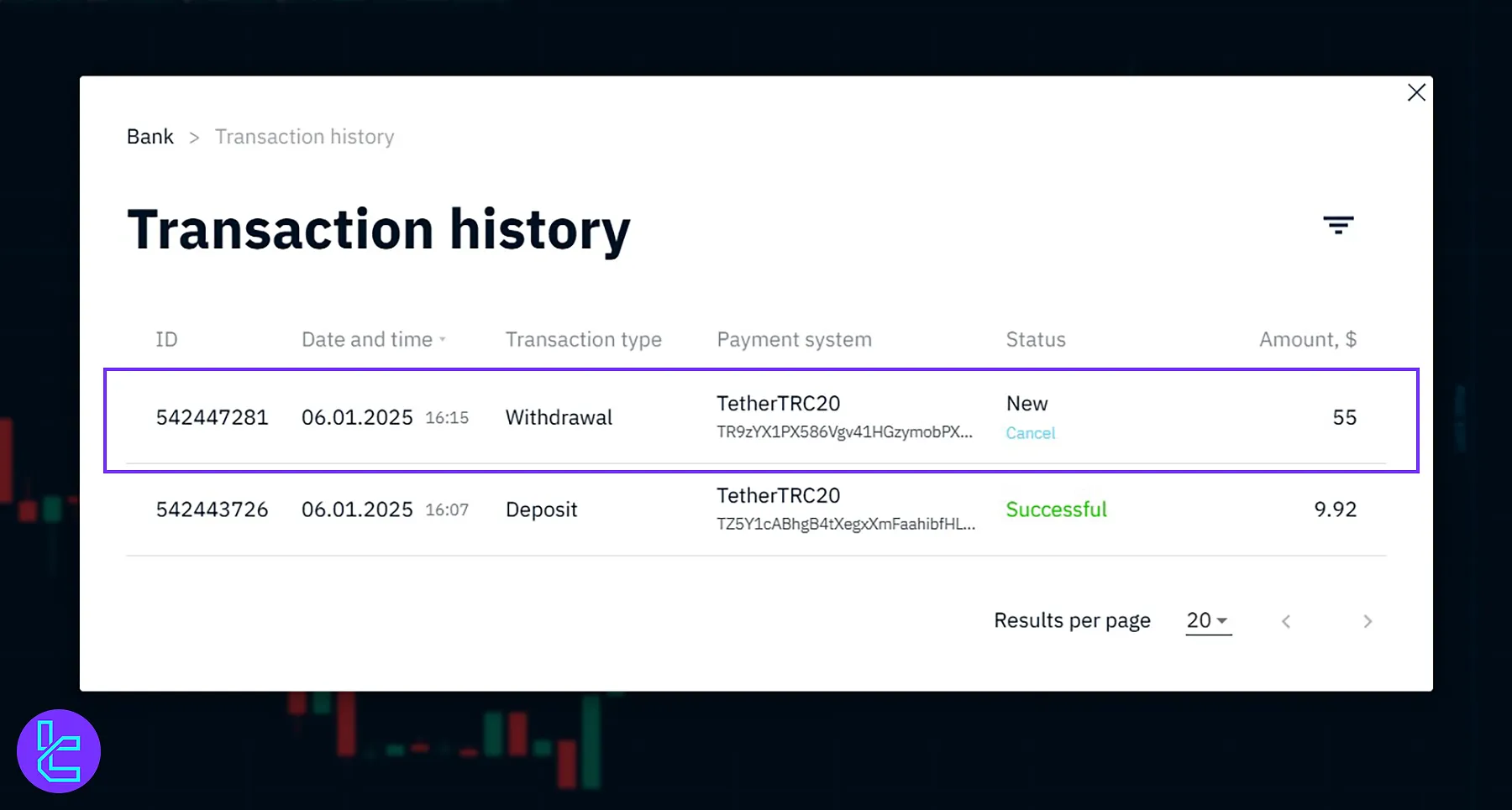 Checking Tether TRC20 transaction history in the Binarium payment history section