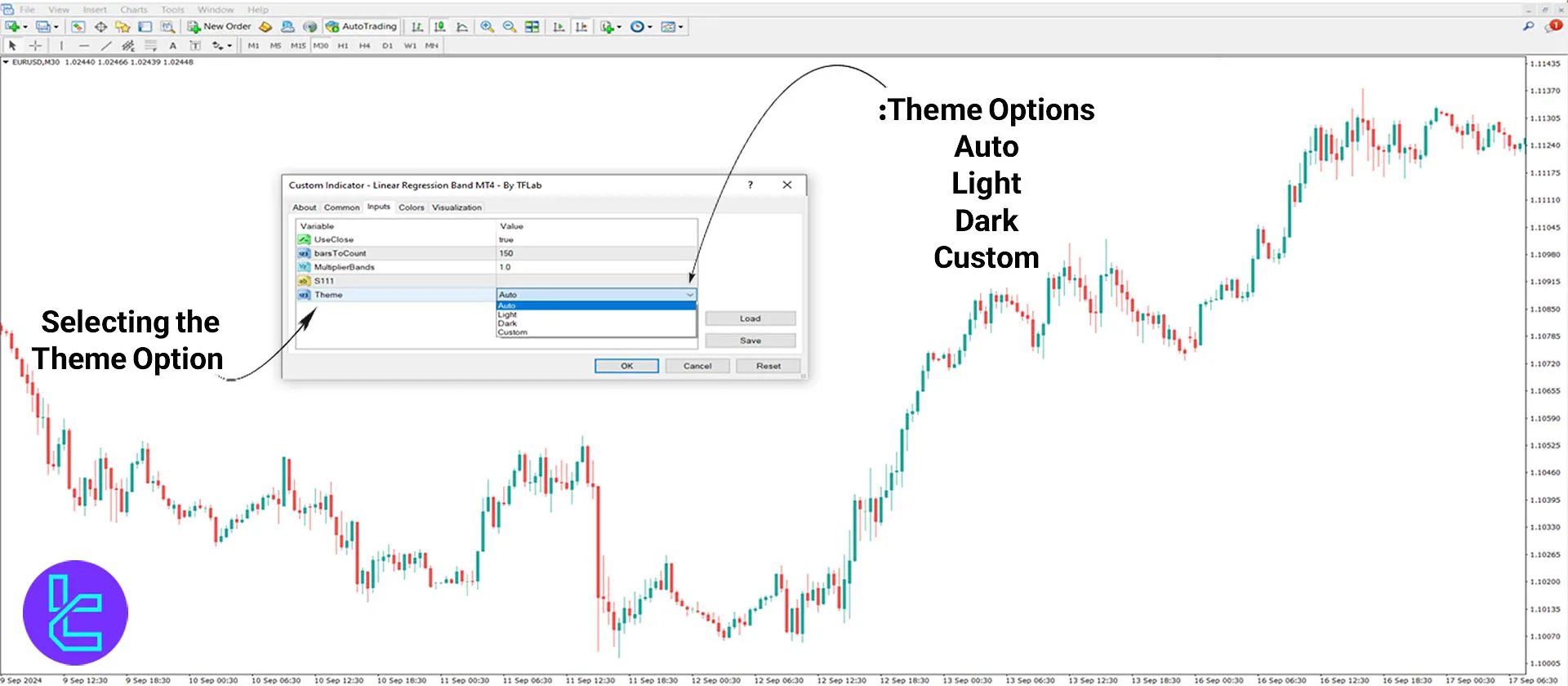 MT4 indicator settings options