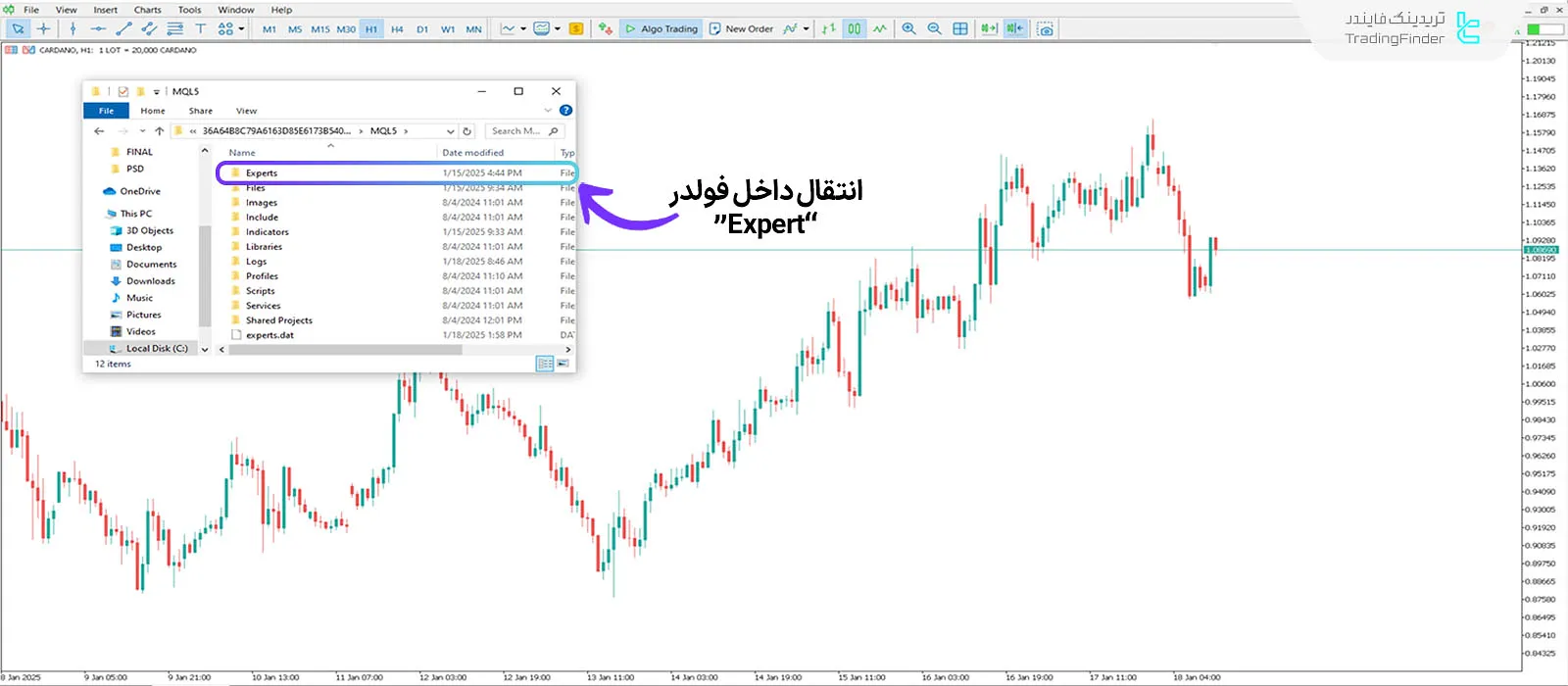 انتقال فایل Expert