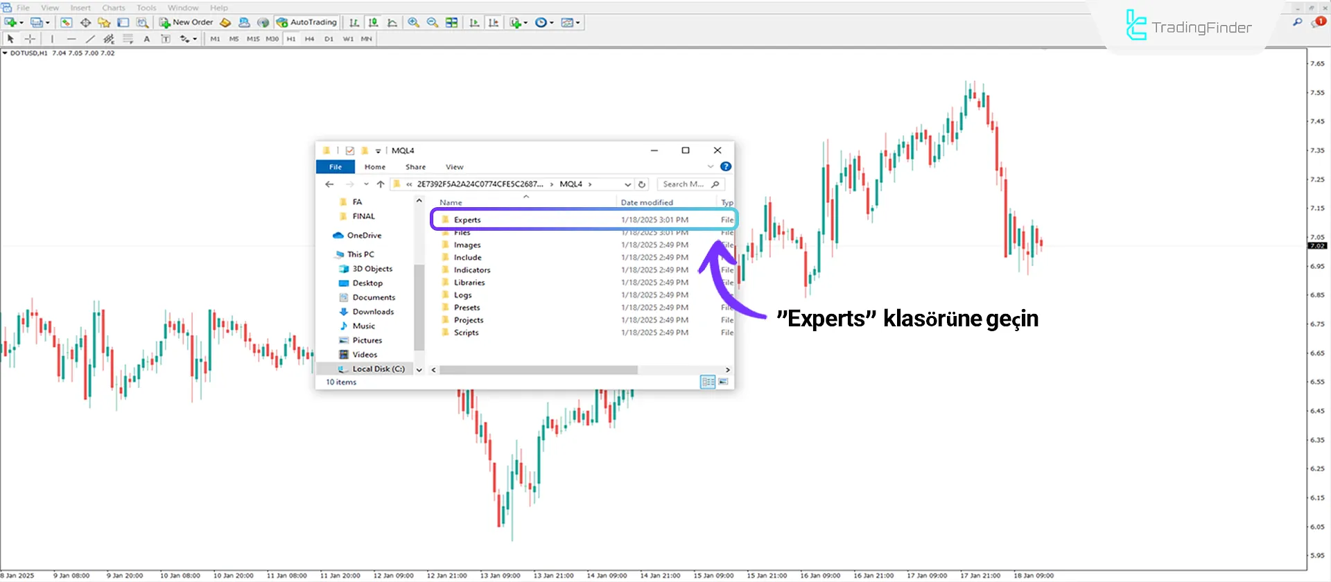 Çalıştırılabilir Expert dosyasını taşıma