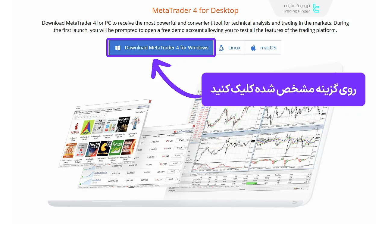 دکمه دانلود متاتریدر 4