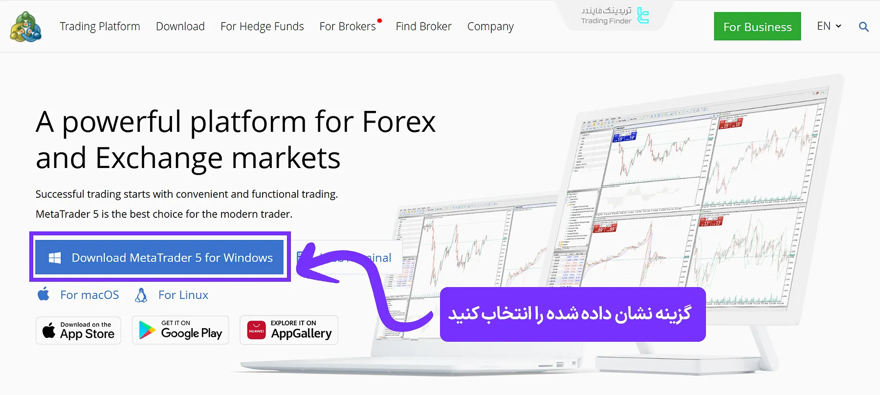 دانلود MT5 از سایت اختصاصی پلتفرم معاملاتی متاتریدر