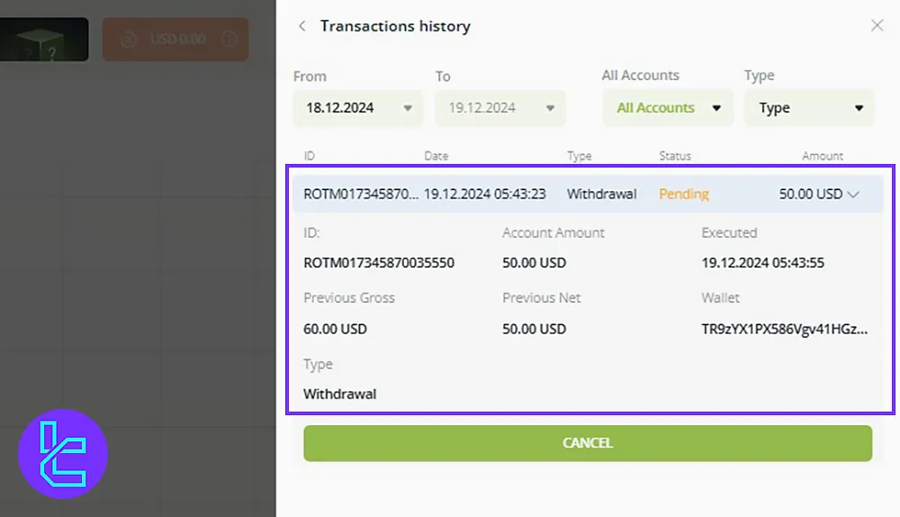 Verifying the Tether TRC-20 Withdrawal request in the Raceoption History section