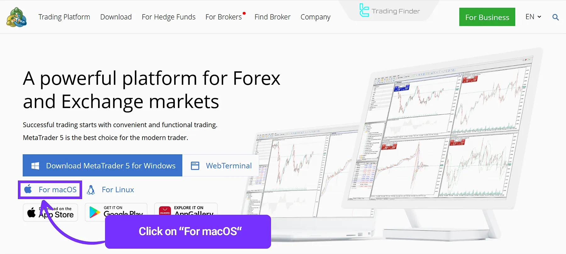 MetaTrader 5 download for macOS