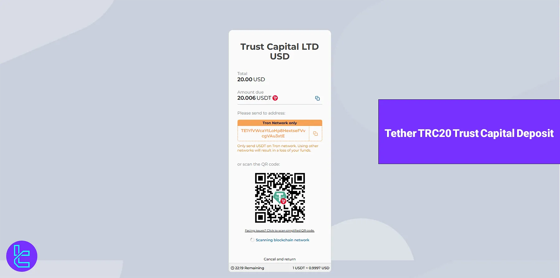 Tether TRC20 Trust Capital Deposit