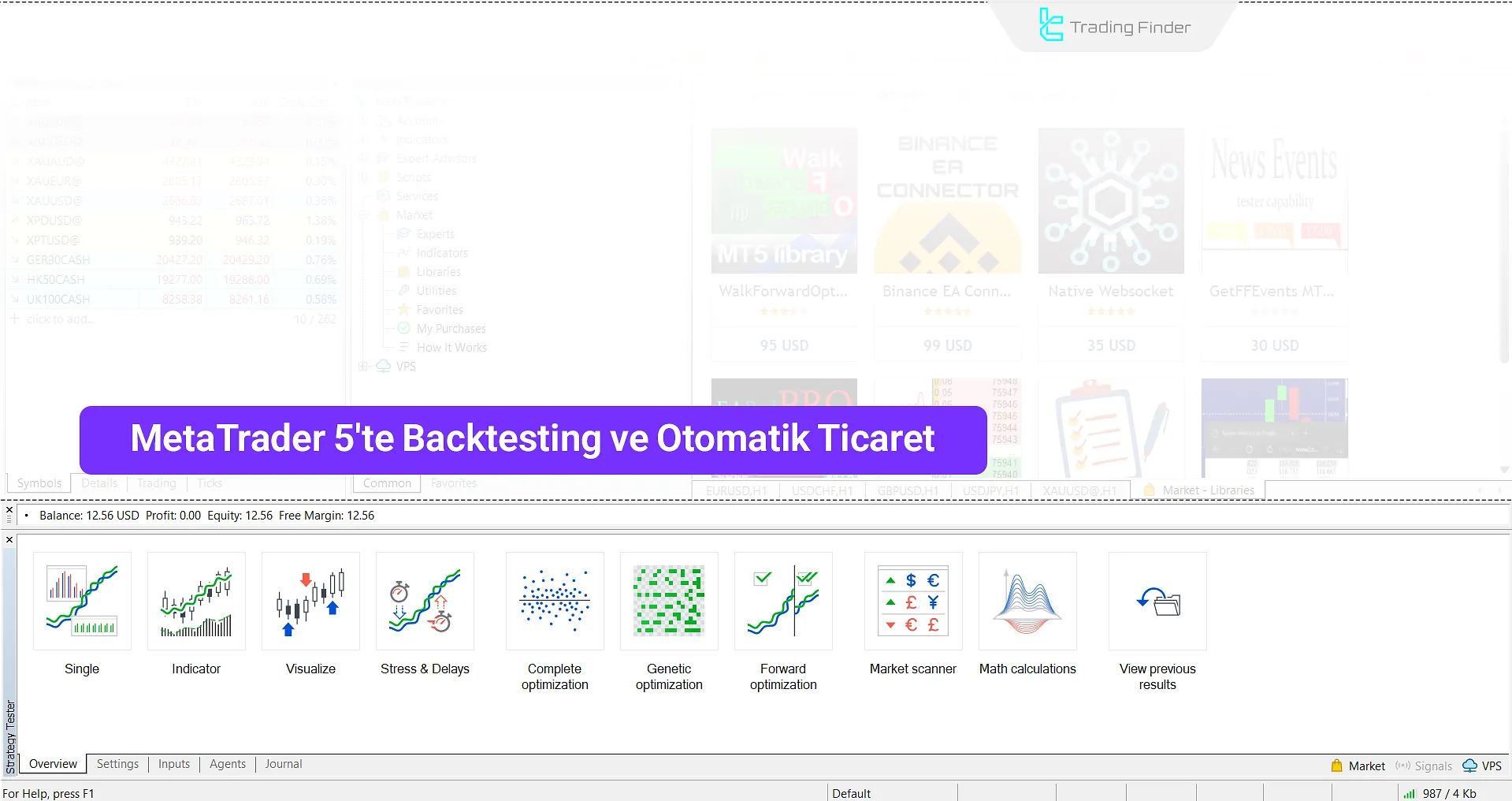 MetaTrader 5'te Backtesting