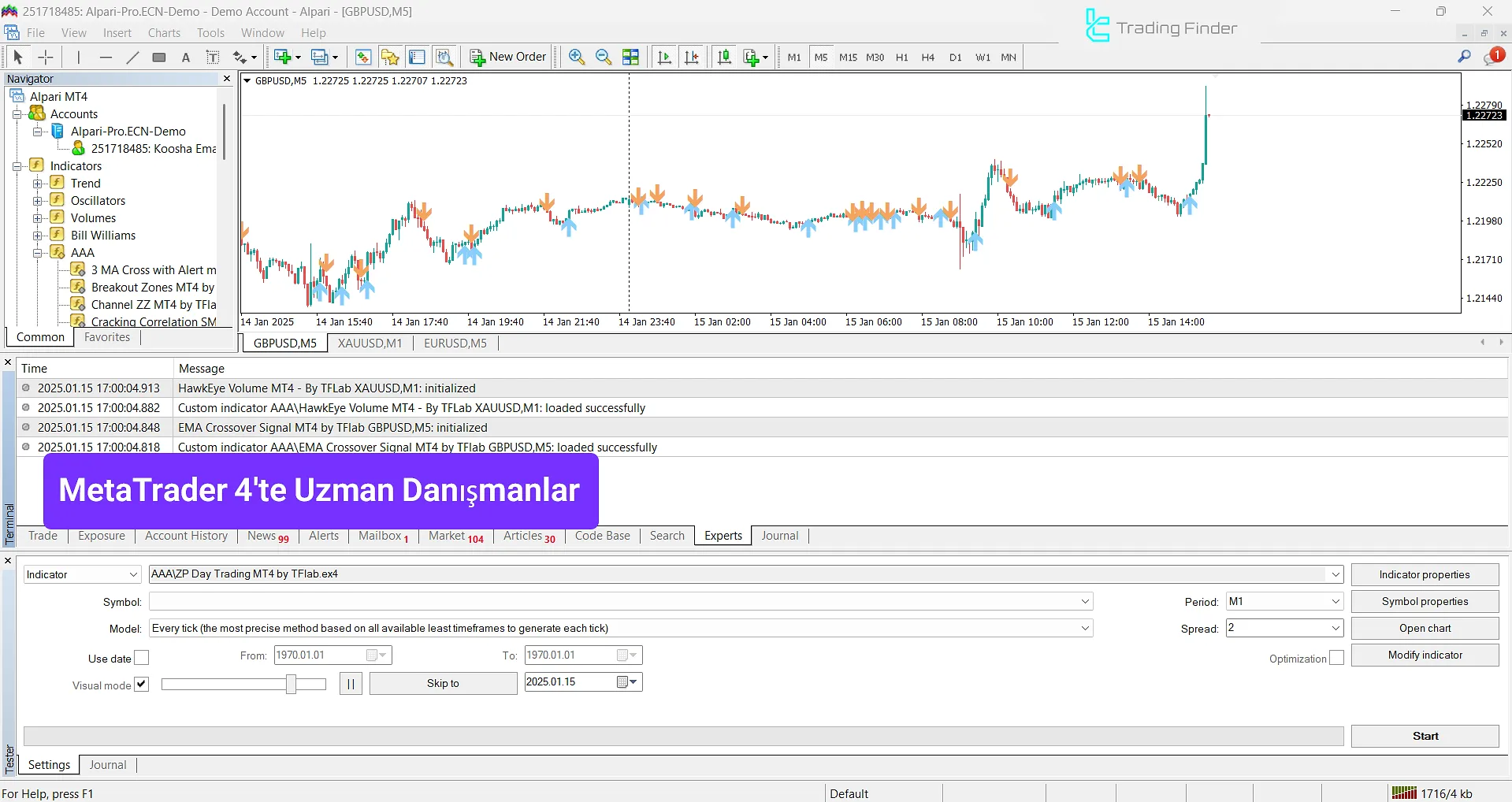 MetaTrader 4'te Uzman