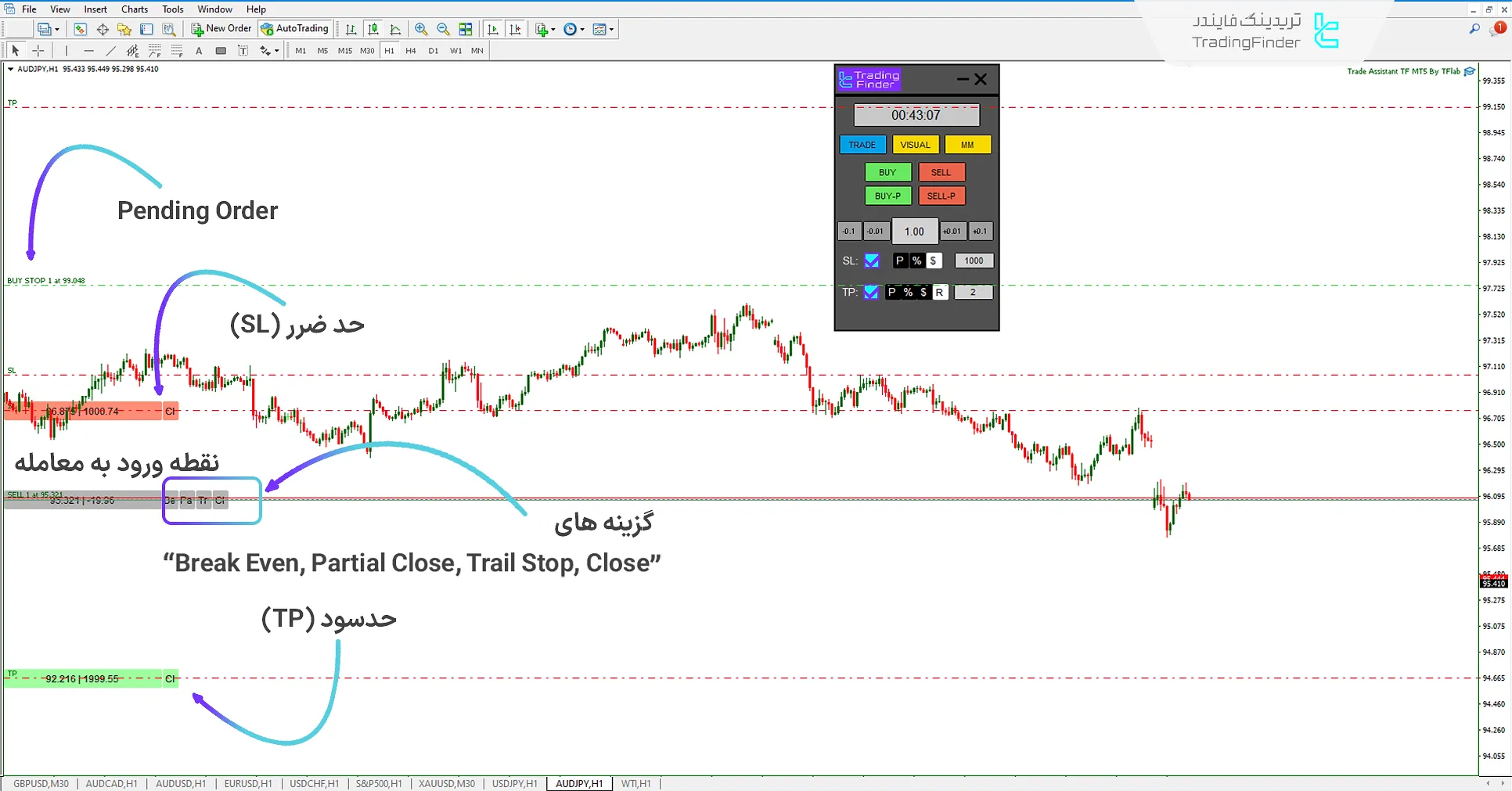 دانلود اکسپرت دستیار معاملات (Trade Assist TF) در متاتریدر 4 - رایگان - [تریدینگ فایندر] 2