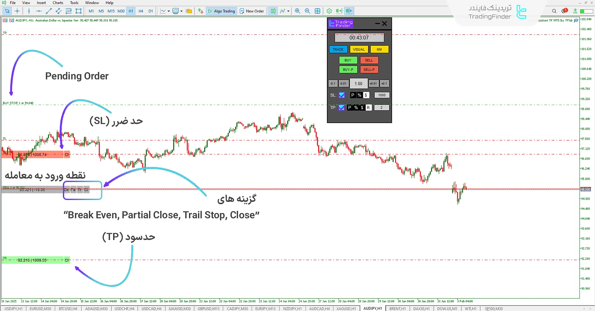 دانلود اکسپرت دستیار معاملات (Trade Assist TF) در متاتریدر 5 - رایگان - [تریدینگ فایندر] 2