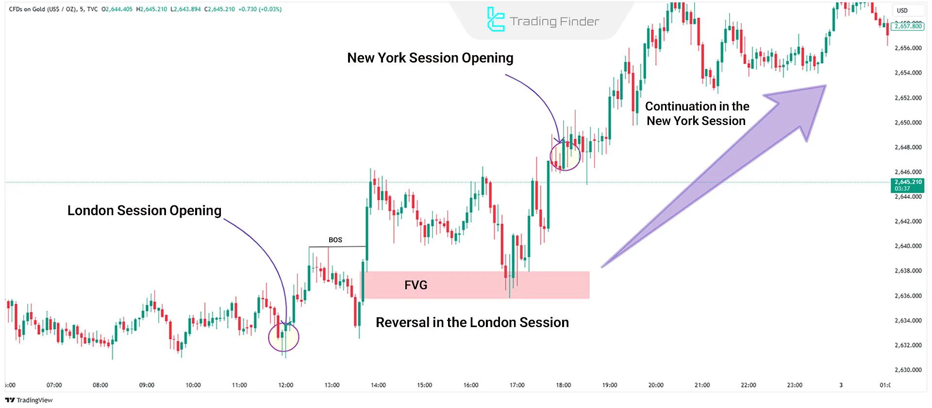 Daily Profile for London Reversal and Continuation in the New York Session